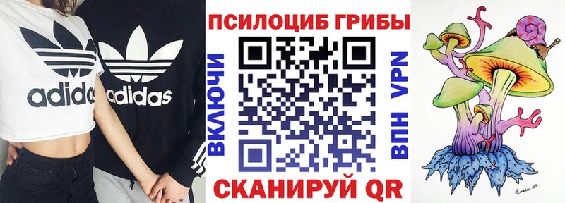 Галлюциногенные грибы мухоморы  закладка  Бабаево 